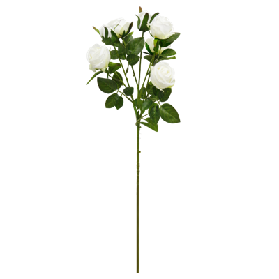 （1）.png 