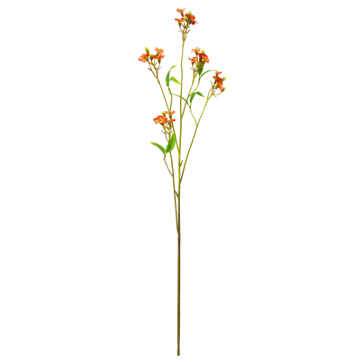 （7）.png 