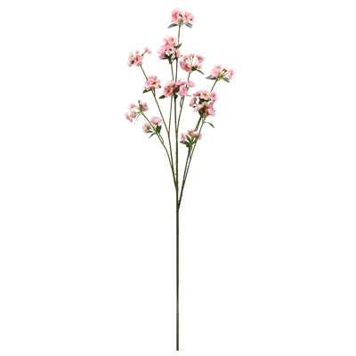 （4）.png 