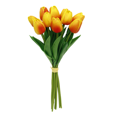 （2）.png 