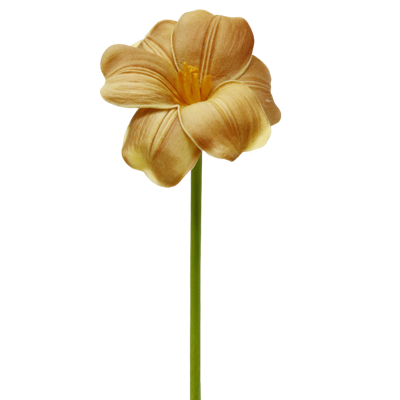 （9）.png 