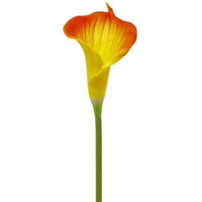 （2）.png 