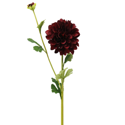 （4）.png 