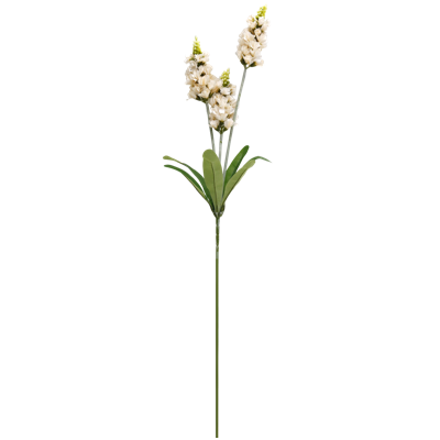 （5）.png 