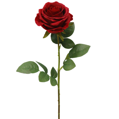 （8）.png 