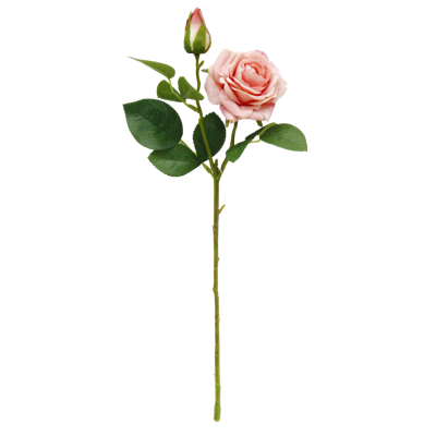 （3）.png 