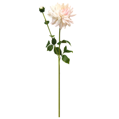 （3）.png 