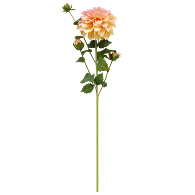 （2）.png 