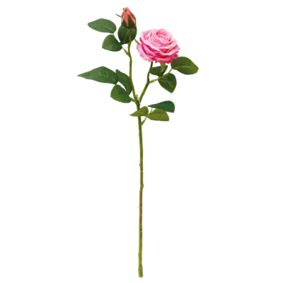 （2）.png 