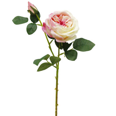 （2）.png 
