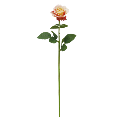 （3）.png 