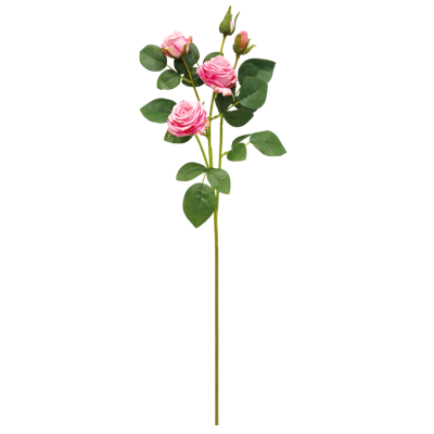 （2）.png 