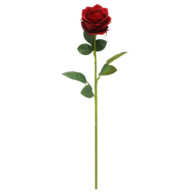 （1）.png 