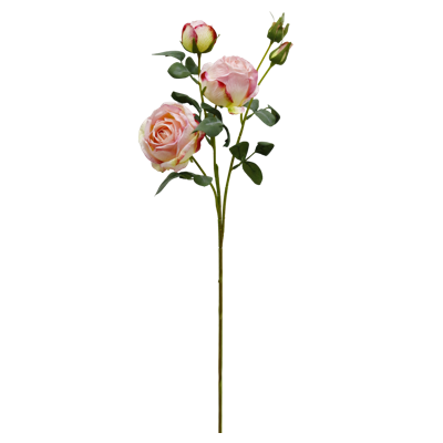 （2）.png 
