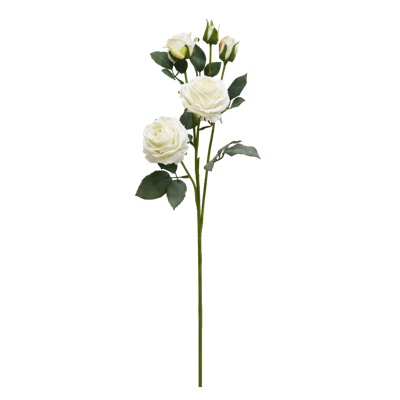 （1）.png 