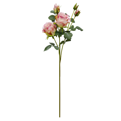 （2）.png 