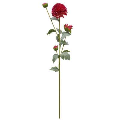 （5）.png 