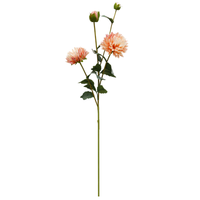 （3）.png 
