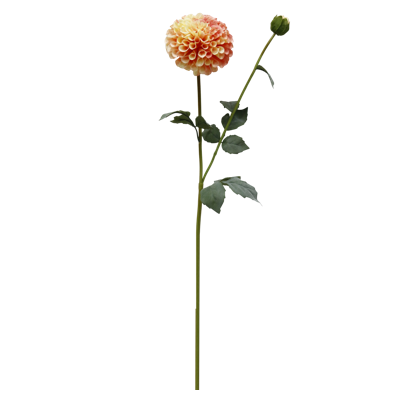 （5）.png 