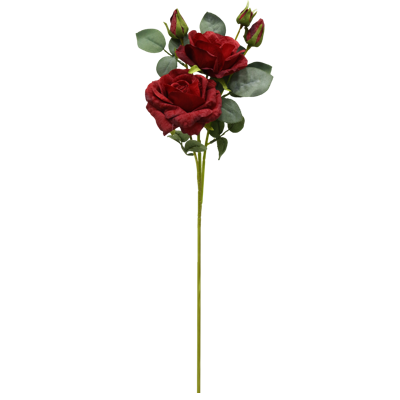 （7）.png 