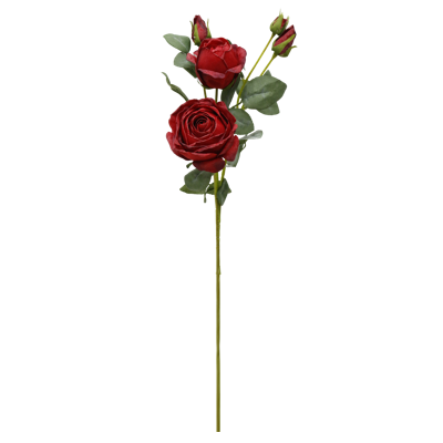 （7）.png 