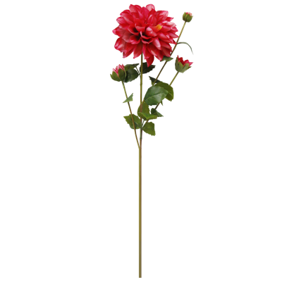 （4）.png 