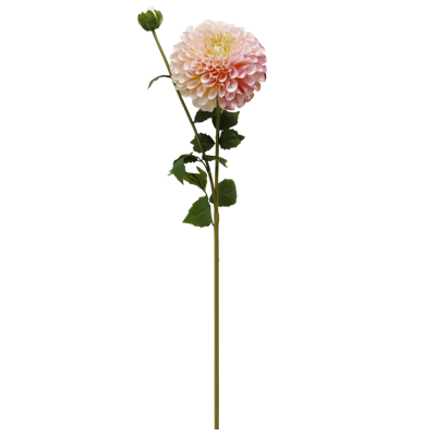 （2）.png 