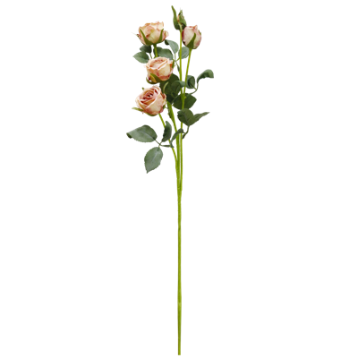 （3）.png 