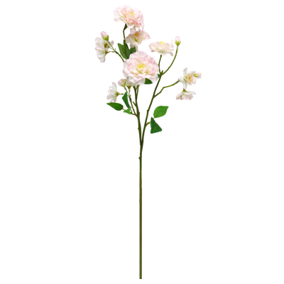 （2）.png 