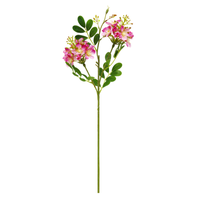 （3）.png 