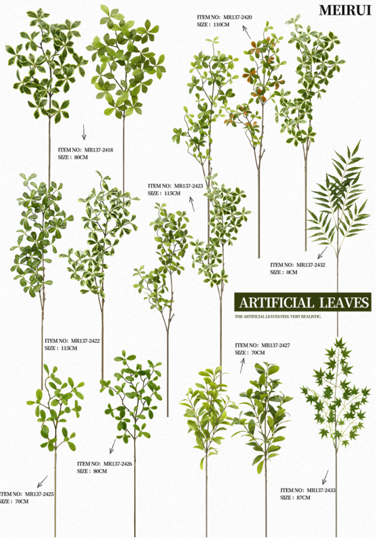 Hoja individual.png 