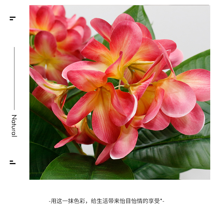 详情_06.jpg 