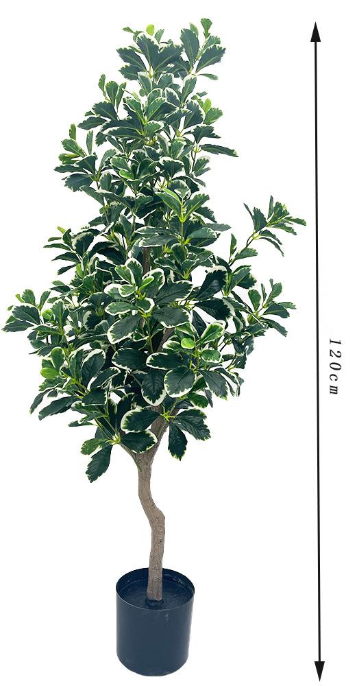 颜色分类_06_白边B款：120cm.jpg 