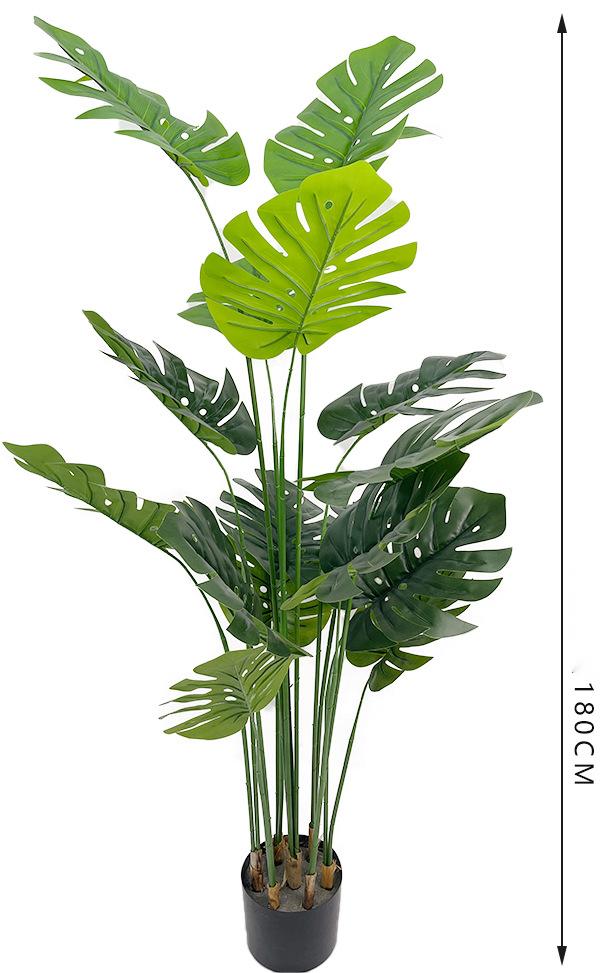 Clasificación por color_03_verde：180cm.jpg 