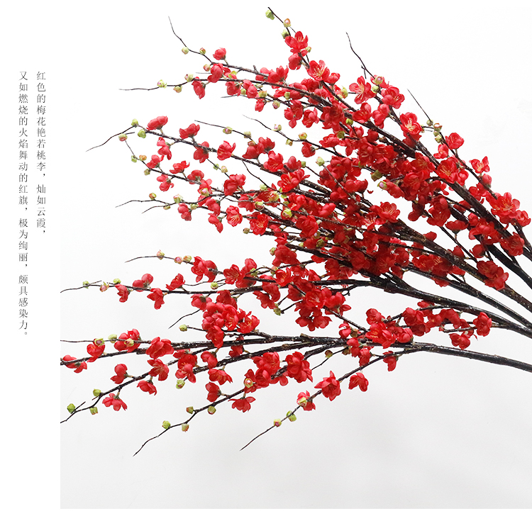 详情_02.jpg 