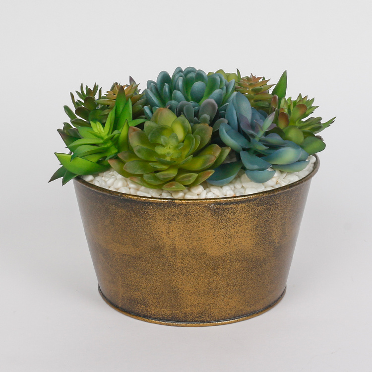 Arreglo-Plantas-Suculentas-Artificiales-con-Macetas-de-Hierro-Maceta-de-Flores-Suculentas-para-Decoración-de-Hogar-y-Hotel.jpg