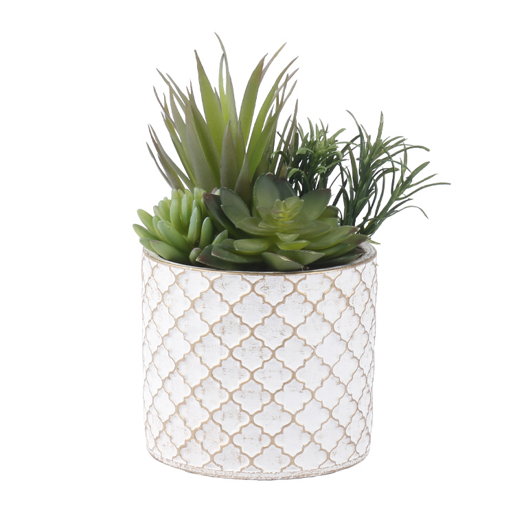 Garden-Decoration-Succulent-Mix-of-Succulents-with-Pot-Hot-Sale.jpg 