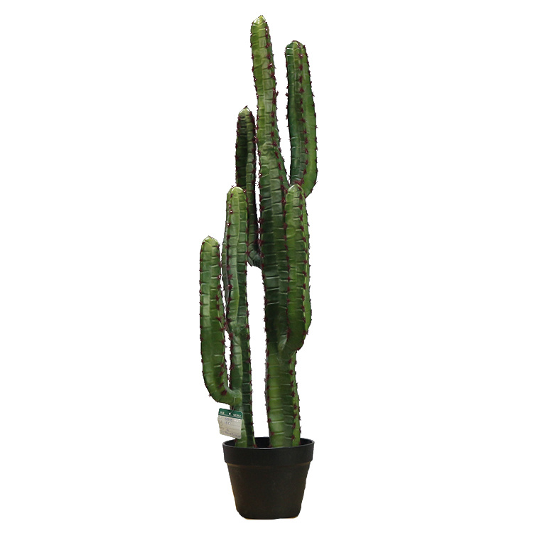 Cactus Saguaro de plástico de nuevo estilo - Compre planta de cactus artificial en Toronto Cactus and Succulent Club.jpg