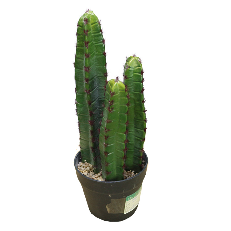 High-Quality-Faux-Greenery-Plastic-Plant-Home-Decor-Cactus.jpg
