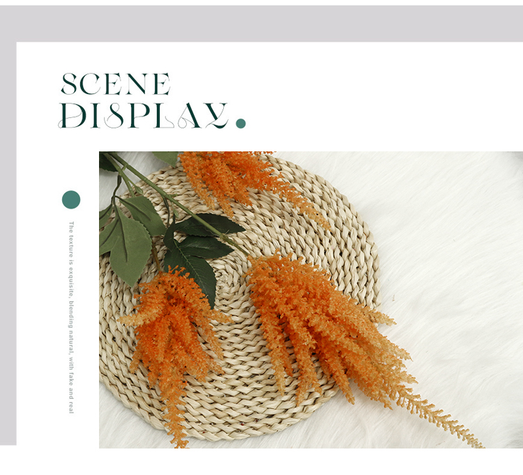 Astilbe flocado de 3 cabezas_05.jpg 