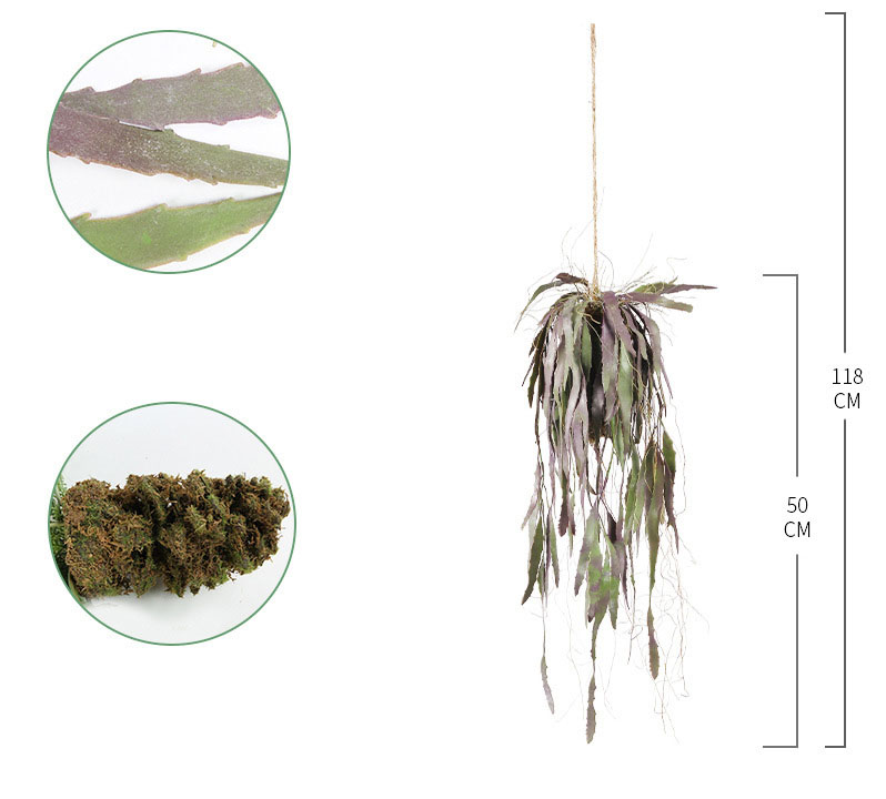 颜色分类_03_小芦荟吊球E款-1.jpg 