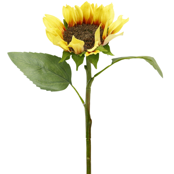 2.png 