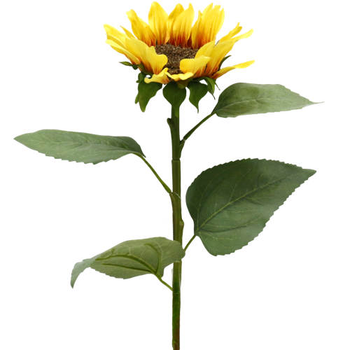 2.png 