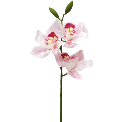 4.png 