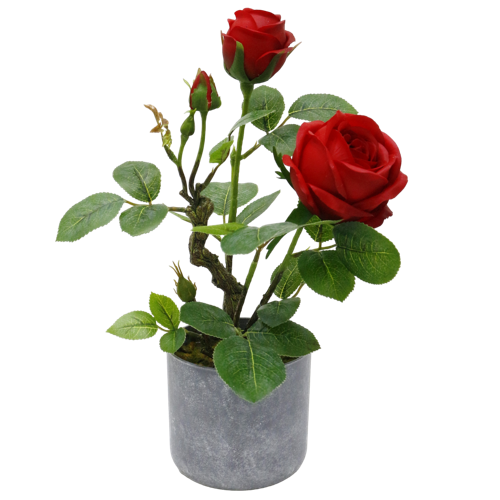 R060.png 