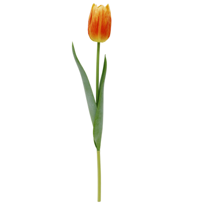 090.png 