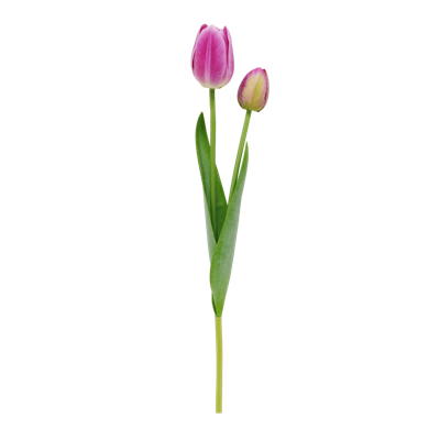 043.png 