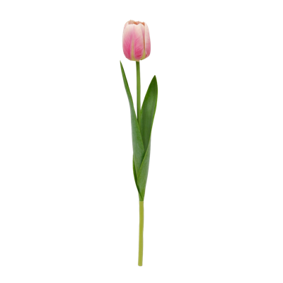 042.png 