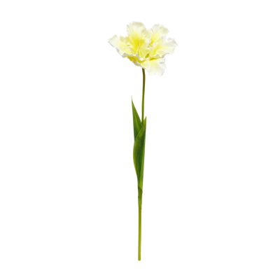 6.png 