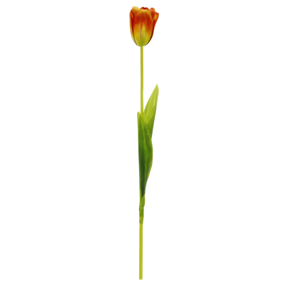 2.png 